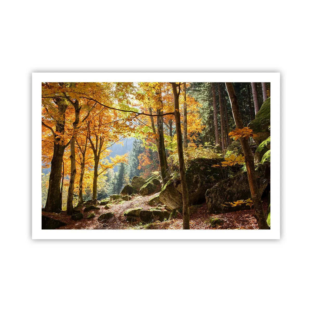 Affiche - Poster - Il est temps de se détendre - 91x61 cm