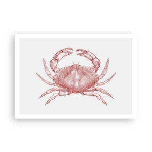 Affiche - Poster - Dessin d'un crabe dans une teinte rouge - 100x70cm - Le crabe des crabes - Décoration murale moderne pour le salon et la chambre ARTTOR