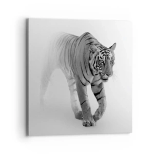 Impression sur toile - Image sur toile - Accroupi dans le brouillard - 70x70 cm