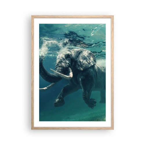 Affiche dans un chêne clair - Poster - Tout le monde aime nager - 50x70 cm
