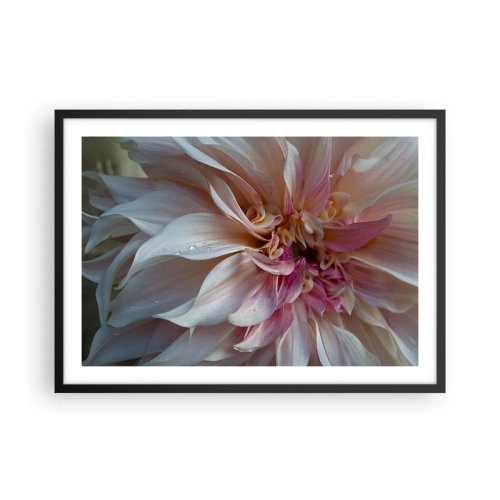 Affiche dans un cadre noir - Poster - Gros plan de délicats pétales de fleurs roses avec des gouttes d'eau - 70x50cm - Fraîcheur fleurissante - Décoration murale moderne pour le salon et la chambre ARTTOR