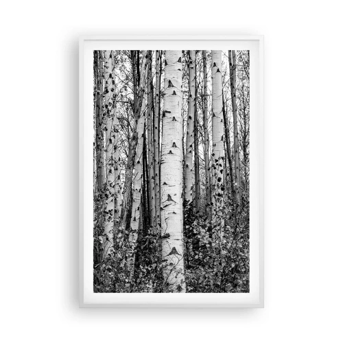 Affiche dans un cadre blanc - Poster - Enchevêtrement de bouleau - 61x91 cm