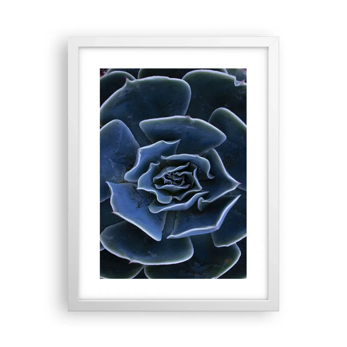 Affiche dans un cadre blanc - Poster - Fleur du désert - 30x40 cm