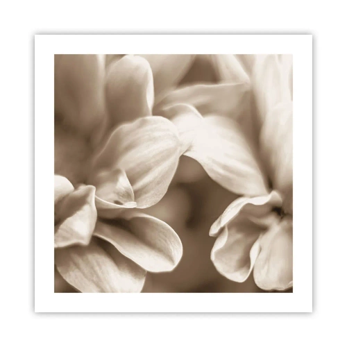 Affiche - Poster - Doux comme un sourire - 50x50 cm