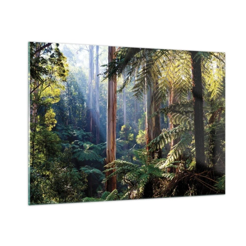 Impression sur verre - Image sur verre - Forêt tropicale verte avec des rayons de soleil - 100x70cm - Fable de la forêt - Décoration murale moderne pour le salon et la chambre ARTTOR