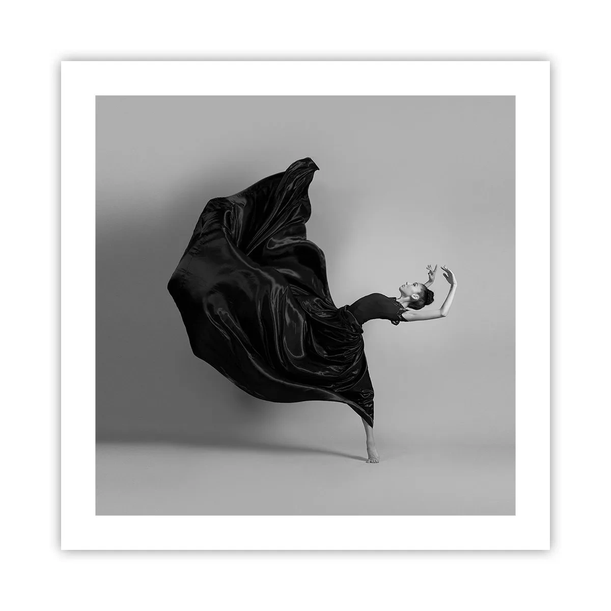 Affiche - Poster - Musique ailées - 50x50 cm