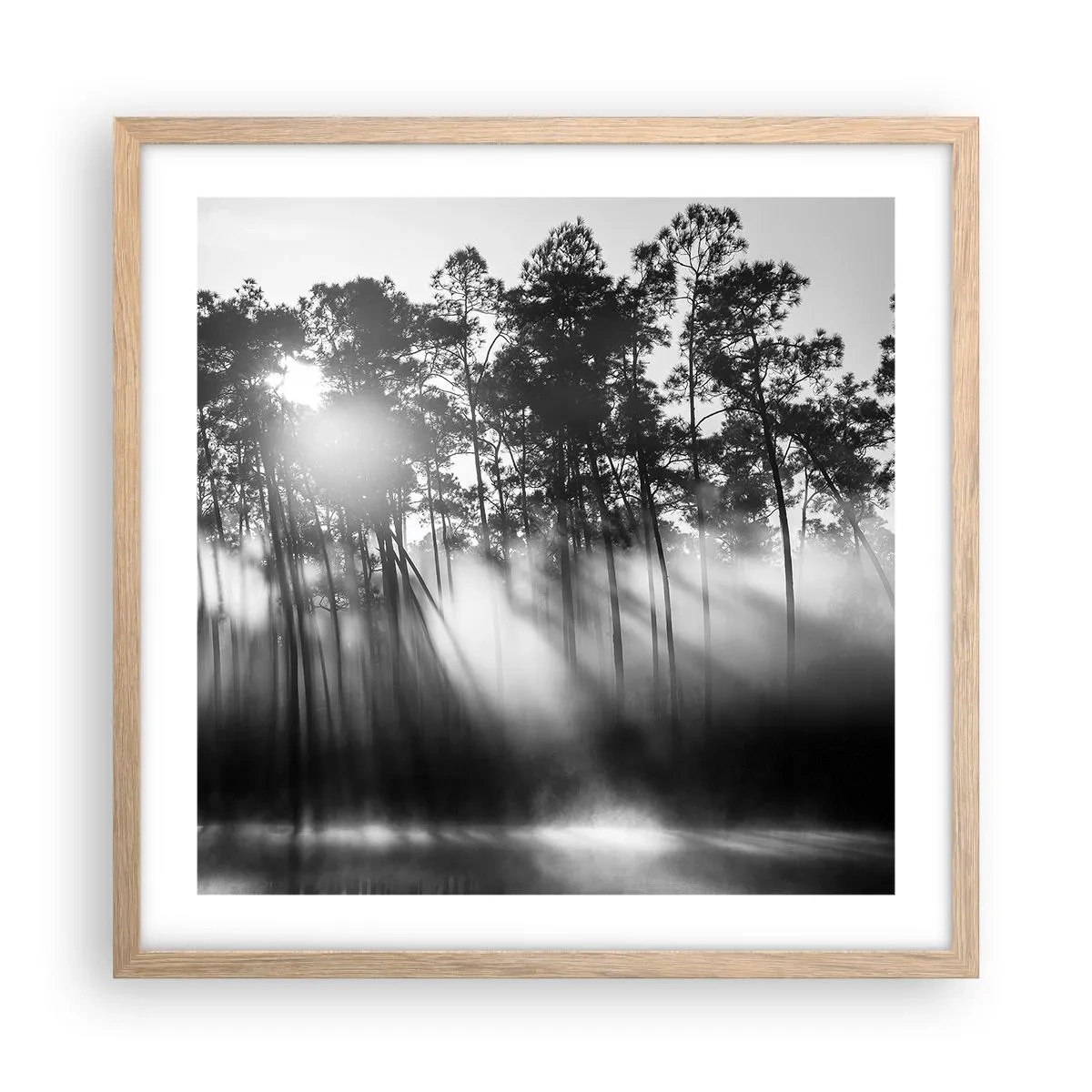 Affiche dans un chêne clair - Poster - Soleil inarrêtable - 50x50 cm