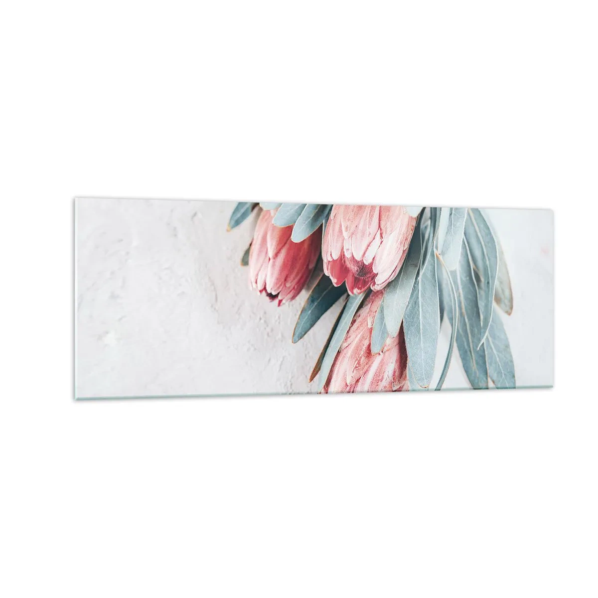Impression sur verre - Image sur verre - Fleurs de protéa roses subtiles sur fond clair - 140x50cm - Honte de leur propre beauté - Décoration murale moderne pour le salon et la chambre ARTTOR