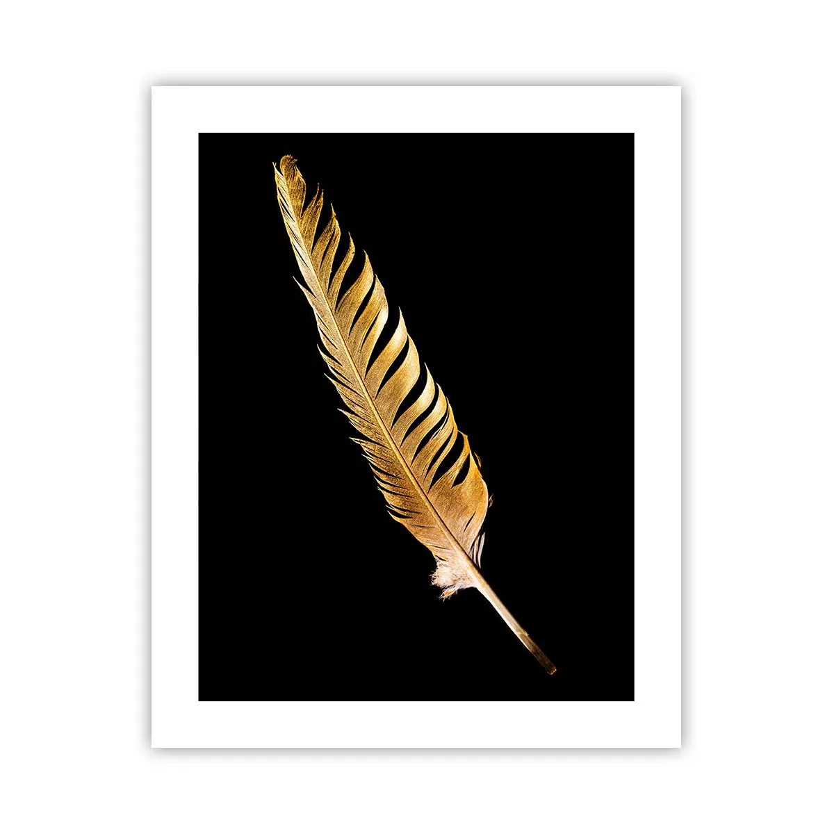 Affiche - Poster - Sans porte-plume - 40x50 cm