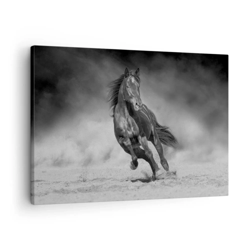 Impression sur toile - Image sur toile - Un cheval noir et blanc galopant sur le sable - 70x50cm - Digne de l'émir lui-même - Décoration murale moderne pour le salon et la chambre ARTTOR