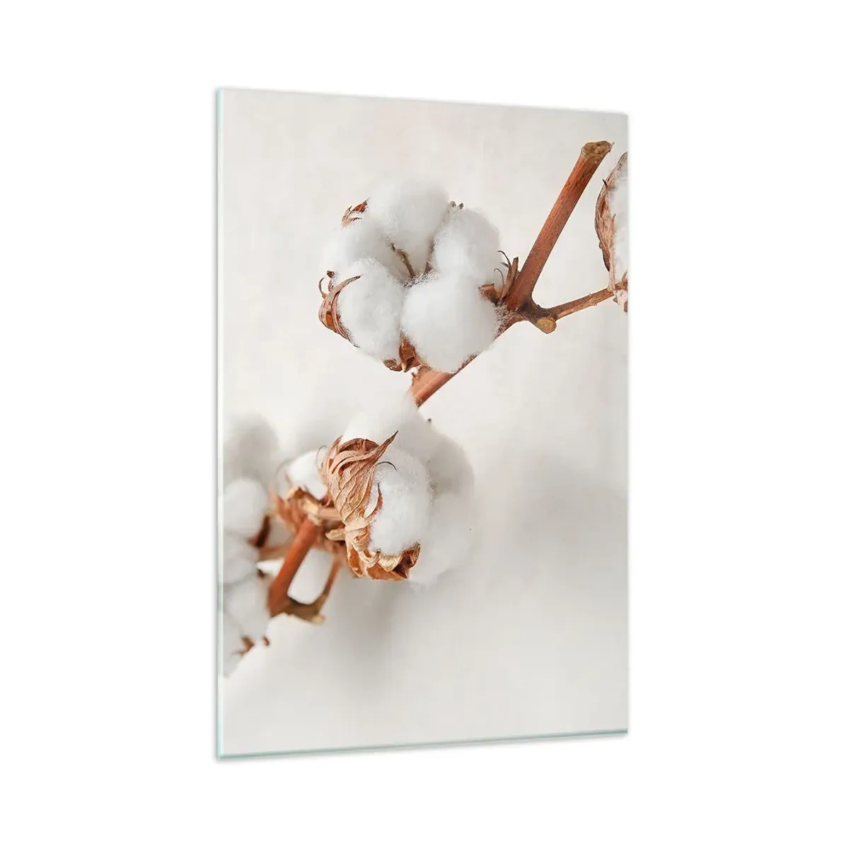 Impression sur verre - Image sur verre - Un brin de coton sur un fond subtil - 80x120cm - Seulement caliner - Décoration murale moderne pour le salon et la chambre ARTTOR