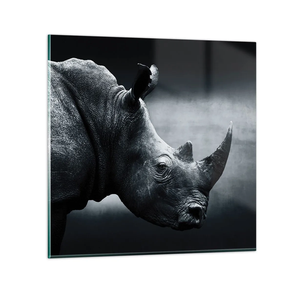 Impression sur verre - Image sur verre - Le profil droit - 60x60 cm