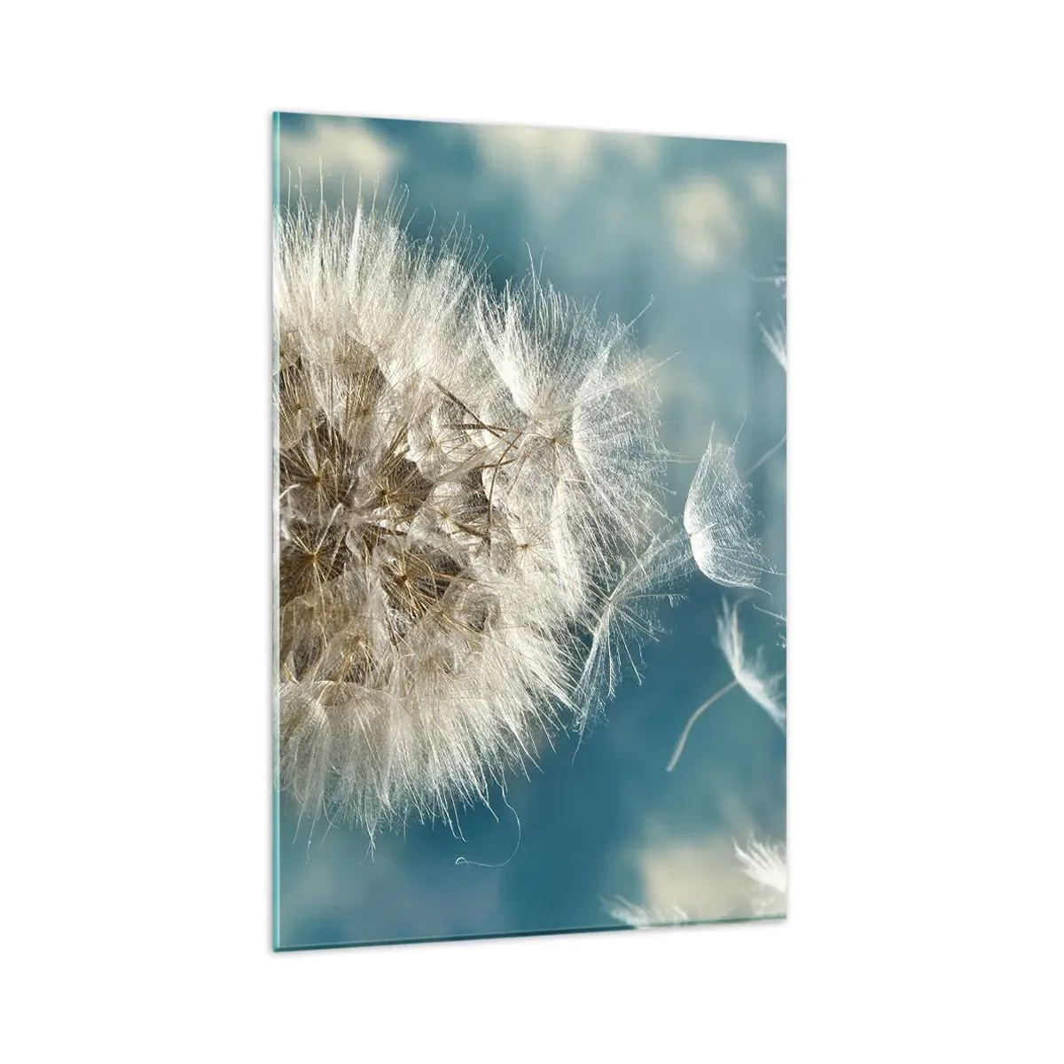 Impression sur verre - Image sur verre - Un pissenlit soufflé contre un ciel bleu - 80x120cm - souffle d'ange - Décoration murale moderne pour le salon et la chambre ARTTOR