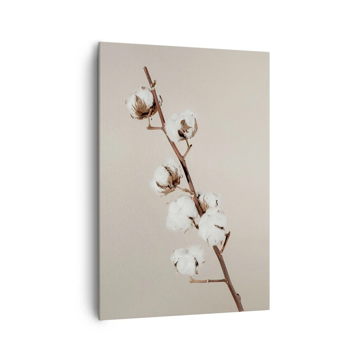 Impression sur toile - Image sur toile - Un brin de coton sur fond beige - 70x100cm - A la source de la douceur - Décoration murale moderne pour le salon et la chambre ARTTOR