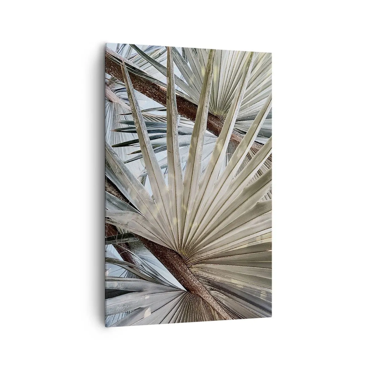 Impression sur toile - Image sur toile - Gros plan de feuilles de palmier dans des tons naturels de vert - 80x120cm - Evantail sous les tropiques - Décoration murale moderne pour le salon et la chambre ARTTOR