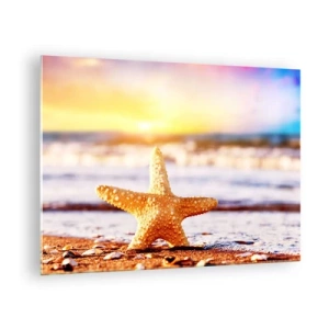 Impression sur verre - Image sur verre - Étoiles de mer sur la plage à la lumière du soleil couchant - 70x50cm - Cadeau de la mer - Décoration murale moderne pour le salon et la chambre ARTTOR