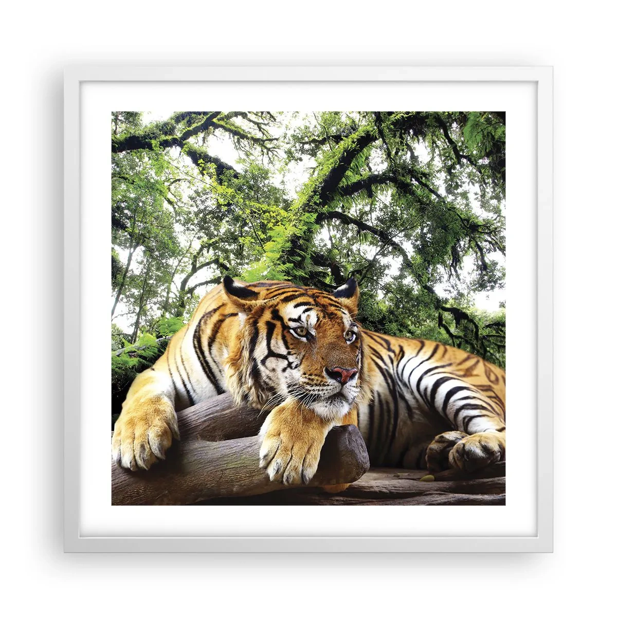 Affiche dans un cadre blanc - Poster - Cordialement - 50x50 cm