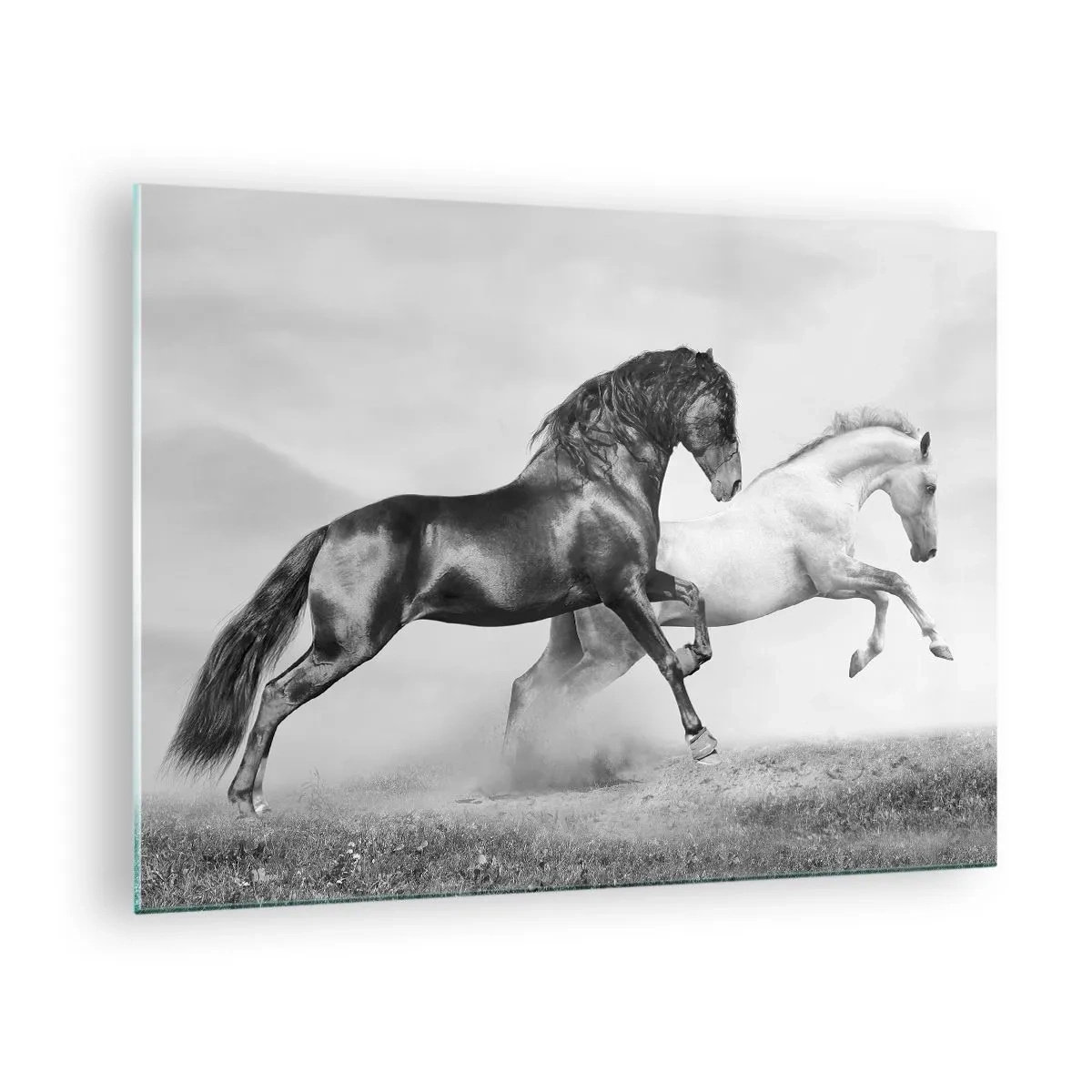 Impression sur verre - Image sur verre - Chevaux noirs et blancs dans un cadre dynamique - 70x50cm - Anges et démons - Décoration murale moderne pour le salon et la chambre ARTTOR