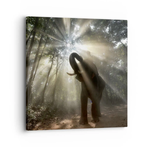 Impression sur toile - Image sur toile - Sous la bonne étoile - 30x30 cm