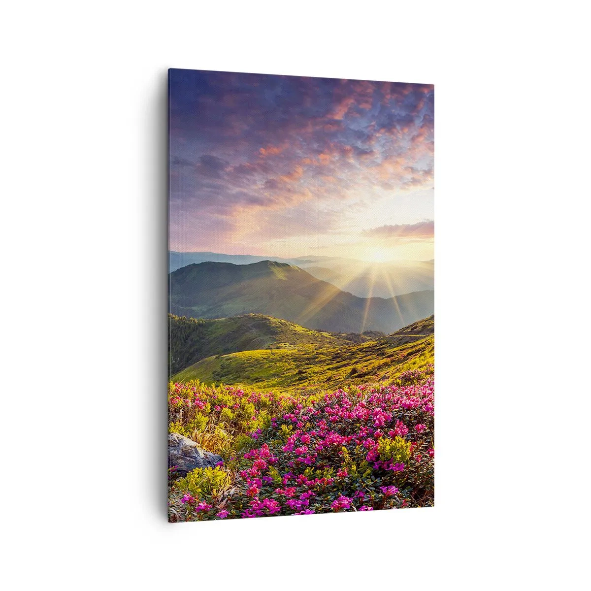 Impression sur toile - Image sur toile - Paysage de montagne avec des rhododendrons en fleurs - 80x120cm - Fraîcheur matinale en montagne - Décoration murale moderne pour le salon et la chambre ARTTOR