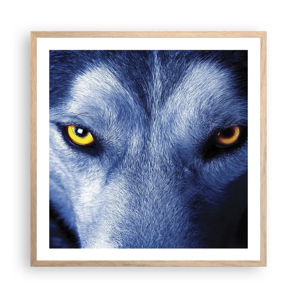 Affiche dans un chêne clair - Poster - Regars hypnotique - 60x60 cm