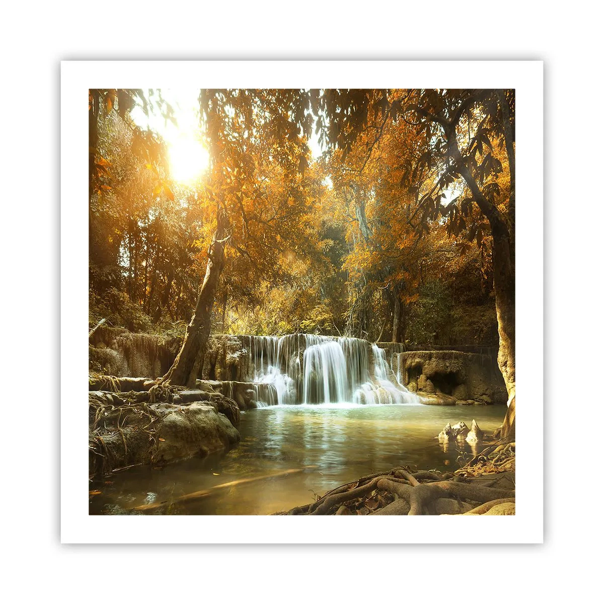 Affiche - Poster - Cascade du parc - 60x60 cm