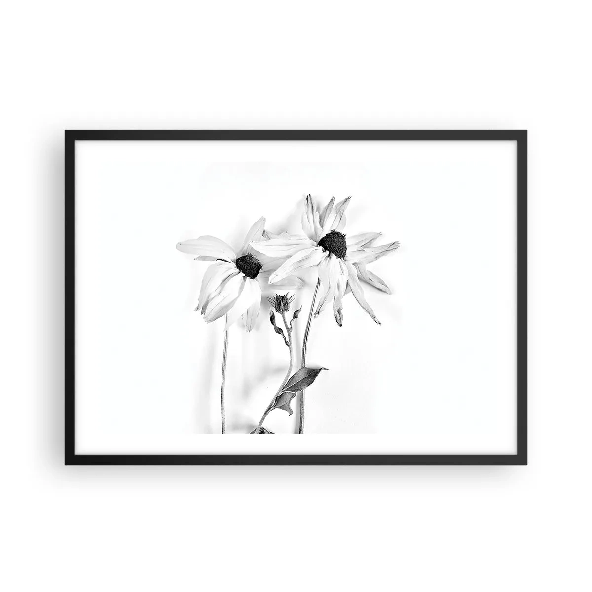 Affiche dans un cadre noir - Poster - Fleurs noires et blanches avec une composition subtile - 70x50cm - Personne ne souhaite être seul - Décoration murale moderne pour le salon et la chambre ARTTOR