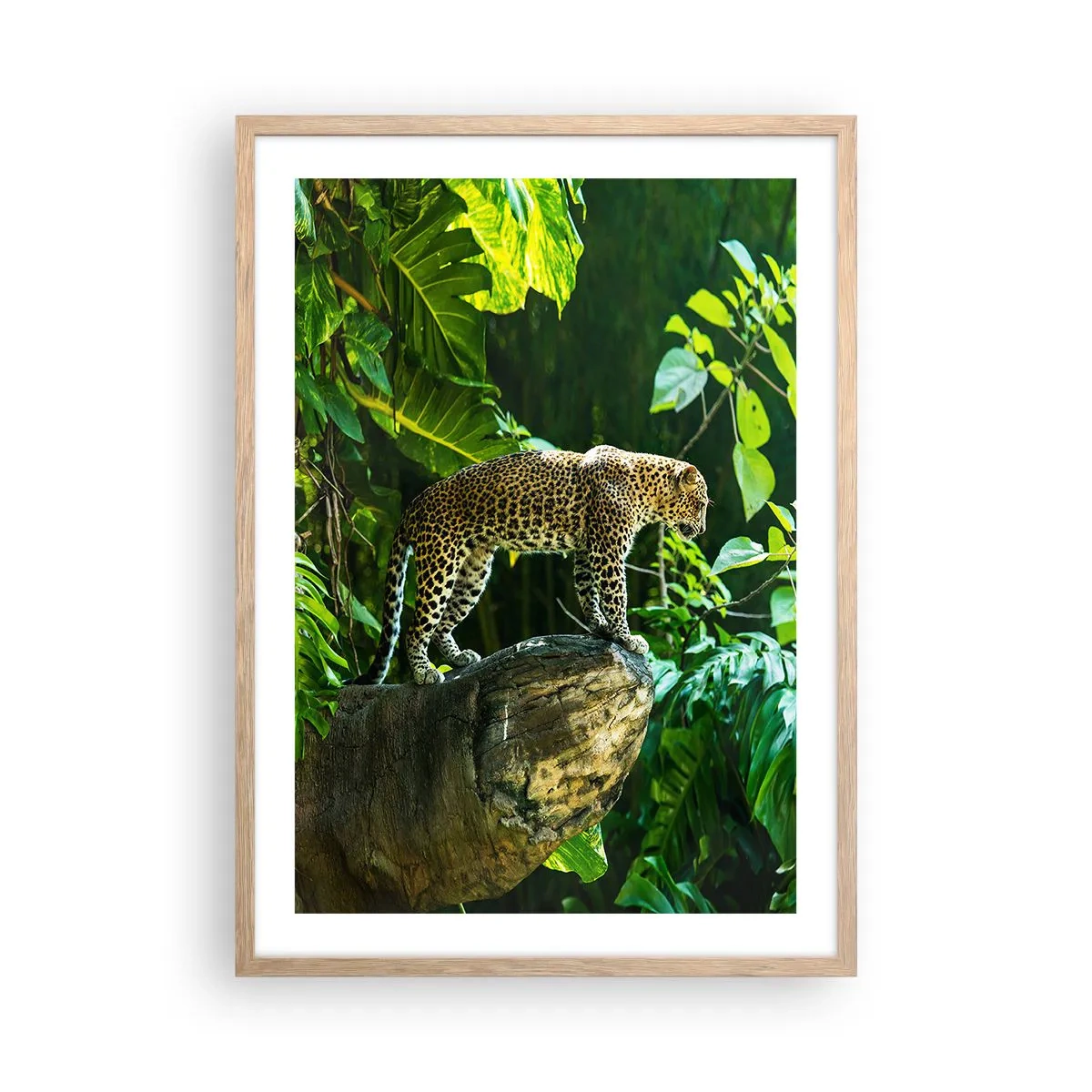 Affiche dans un chêne clair - Poster - À la chasse? - 50x70 cm