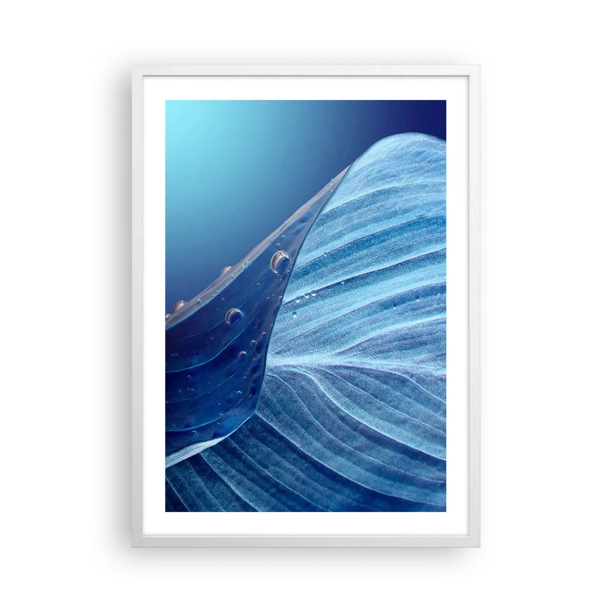 Affiche dans un cadre blanc - Poster - Gouttes cachées du bleu - 50x70 cm