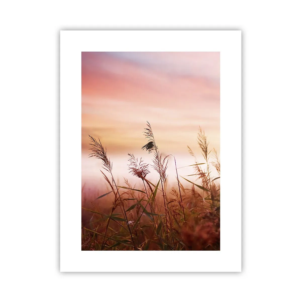 Affiche - Poster - Cerfs-volants, pissenlits, vent - 30x40 cm