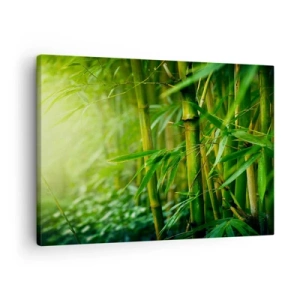 Impression sur toile - Image sur toile - Forêt de bambous verts dans une lumière douce - 70x50cm - Apprenez à connaître le vert lui-même - Décoration murale moderne pour le salon et la chambre ARTTOR