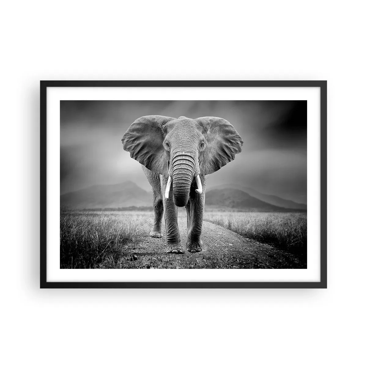 Affiche dans un cadre noir - Poster - Un puissant éléphant dans la savane aux tons monochromes - 70x50cm - Les hôtes vous saluent - Décoration murale moderne pour le salon et la chambre ARTTOR
