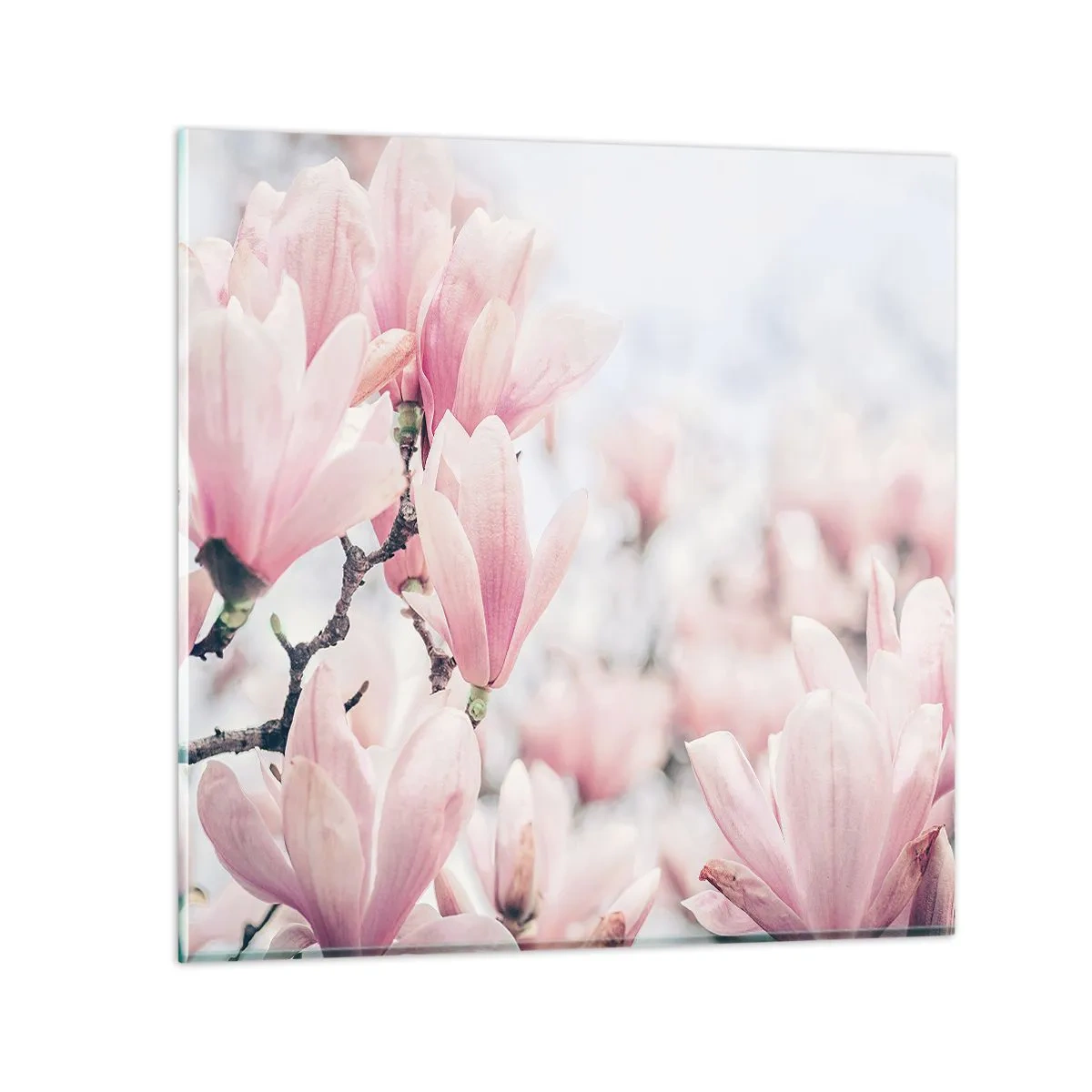 Impression sur verre - Image sur verre - Idéal de la subtilité - 50x50 cm