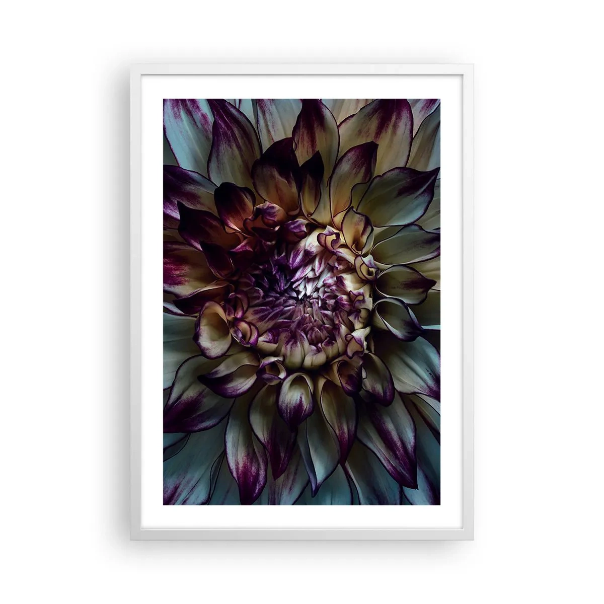 Affiche dans un cadre blanc - Poster - L'apogée de la jeunesse - 50x70 cm