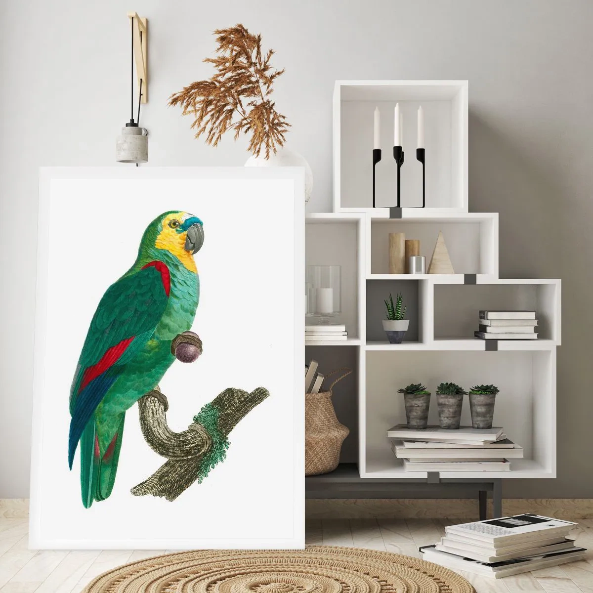 Affiche - Poster - Portrait de perroquet - 40x50 cm