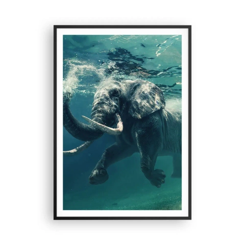 Affiche dans un cadre noir - Poster - Tout le monde aime nager - 70x100 cm