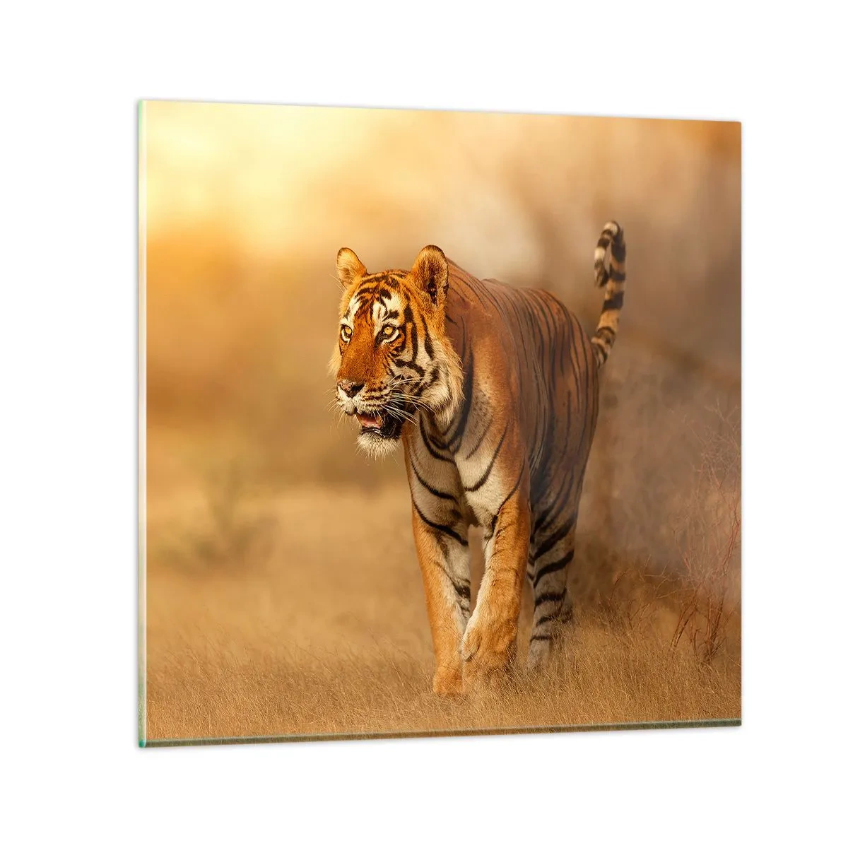 Impression sur verre - Image sur verre - Avant l'attaque - 30x30 cm