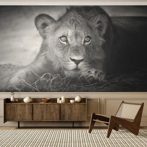 Papier Peint Photo Premium Sand - Chiot royal - Animaux, Lion, Noir et blanc - 250x175 cm