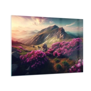 Impression sur verre - Image sur verre - Paysage de montagne d'été avec bruyère rose en fleurs - 70x50cm - L'été à la montagne - Décoration murale moderne pour le salon et la chambre ARTTOR