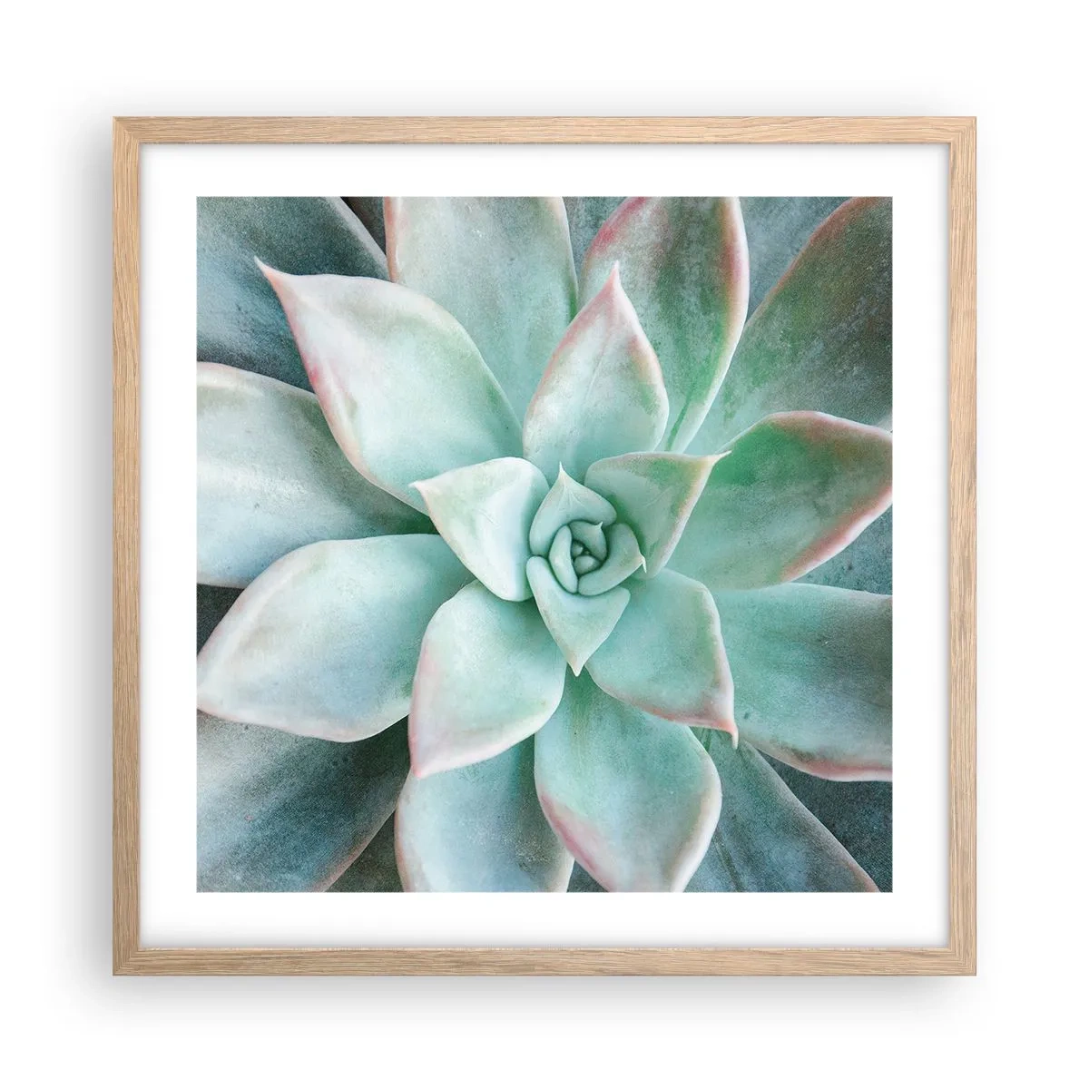 Affiche dans un chêne clair - Poster - Le coeur du désert - 50x50 cm