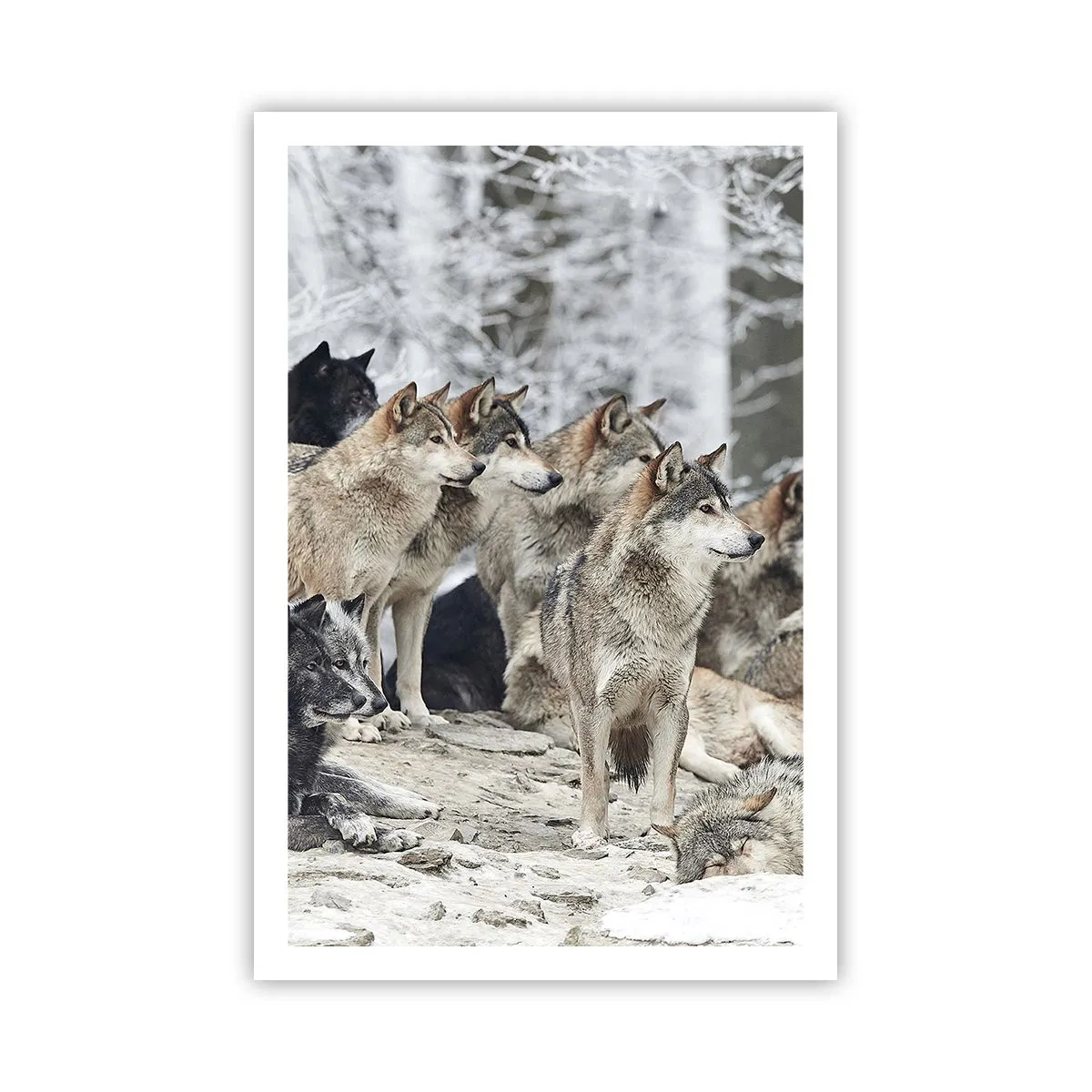 Affiche - Poster - Famille et amis - 61x91 cm