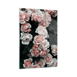 Impression sur verre - Image sur verre - Gros plan d'un bouquet de roses roses sur fond sombre - 50x70cm - Ensemble de rose - Décoration murale moderne pour le salon et la chambre ARTTOR