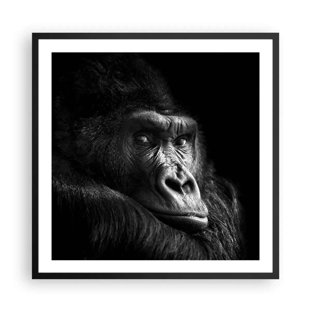 Affiche dans un cadre noir - Poster - Et qu'est-ce que tu regardes? - 60x60 cm