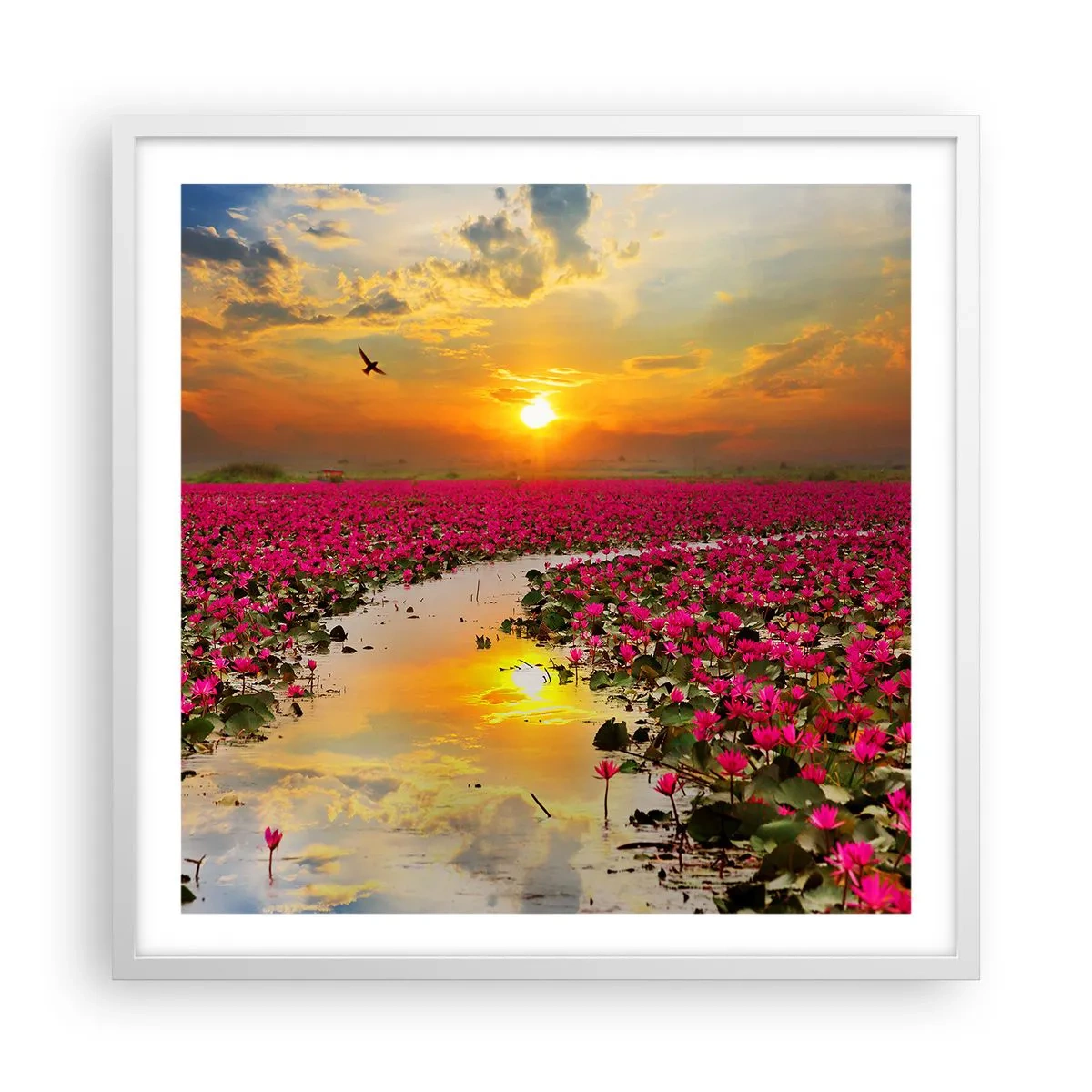 Affiche dans un cadre blanc - Poster - La vie secrète du lac - 60x60 cm
