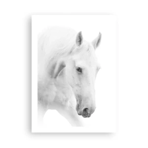 Affiche - Poster - Portrait d'un cheval blanc dans un style minimaliste - 50x70cm - Serait-ce de l’amitié? - Décoration murale moderne pour le salon et la chambre ARTTOR
