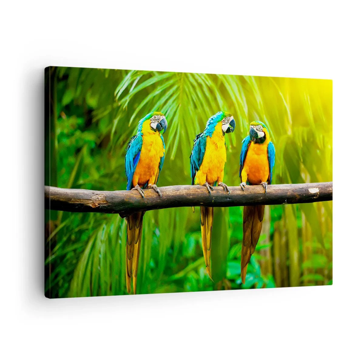 Impression sur toile - Image sur toile - Trois perroquets colorés sur fond de verdure tropicale - 70x50cm - Et avez-vous entendu qu'elle ...? - Décoration murale moderne pour le salon et la chambre ARTTOR