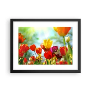 Affiche dans un cadre noir - Poster - Toutes les couleurs du soleil - 40x30 cm