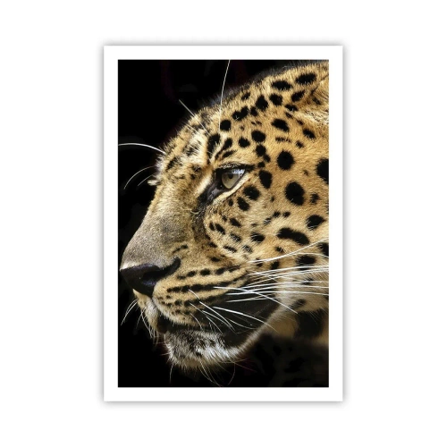 Affiche - Poster - Calme, concentré, prêt - 61x91 cm