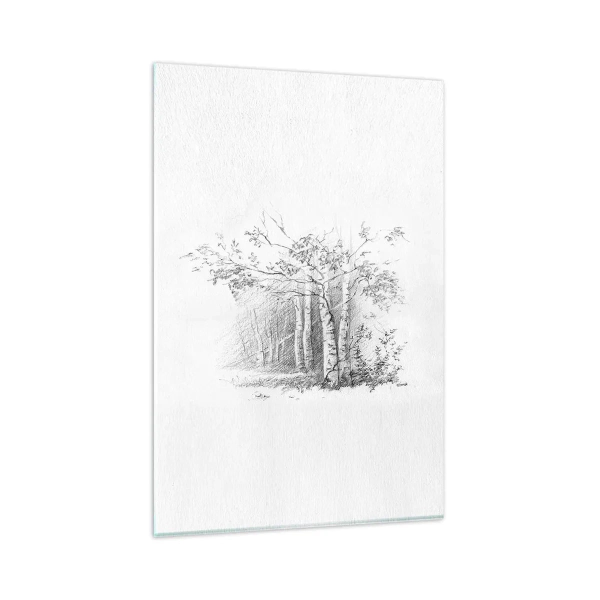 Impression sur verre - Image sur verre - Un dessin d'une forêt de bouleaux dans un croquis au crayon subtil - 80x120cm - Lumière d'une forêt de bouleaux - Décoration murale moderne pour le salon et la chambre ARTTOR