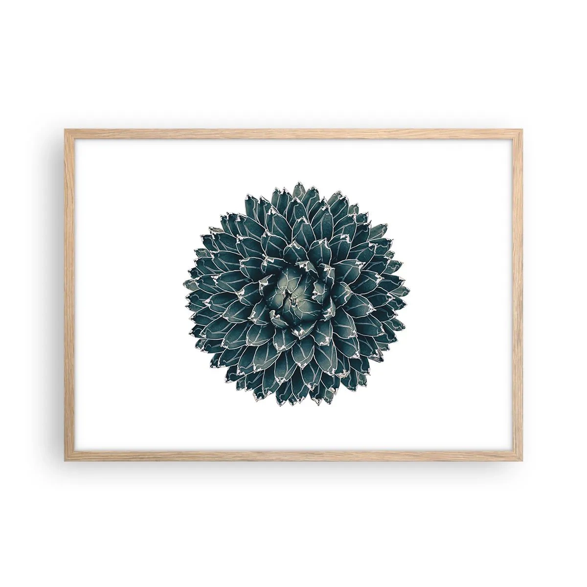 Affiche dans un chêne clair - Poster - Étoile du désert - 70x50 cm